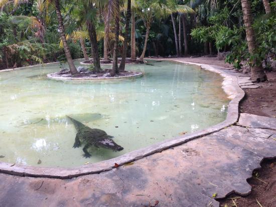 Zoo di Crococun